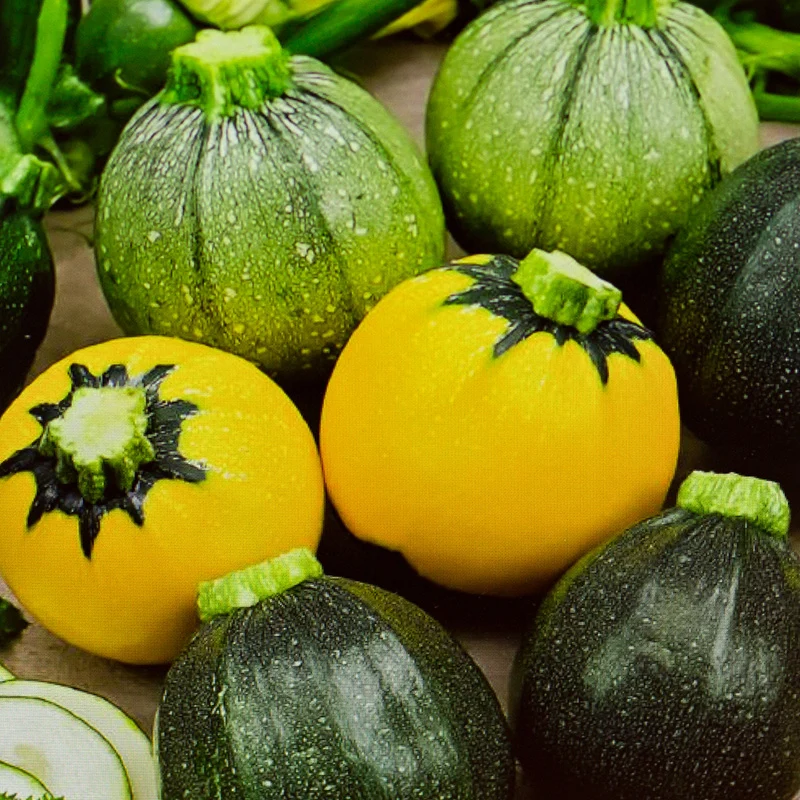 Runde Zucchini Mischung
