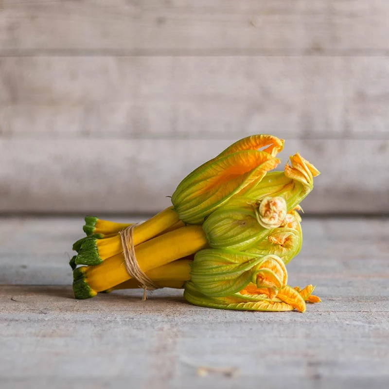Zucchini - Golden Glory F1