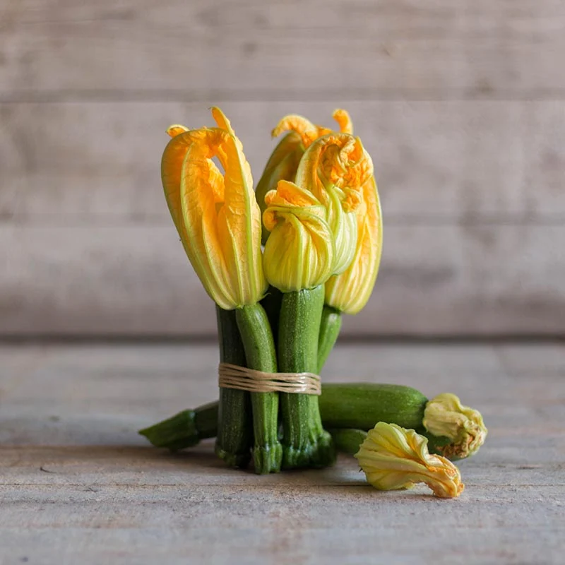Zucchini - Diamant F1