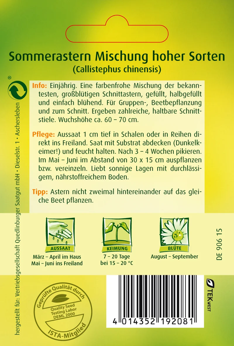 Sommer Astern Mischung hoher Sorten Saatgut