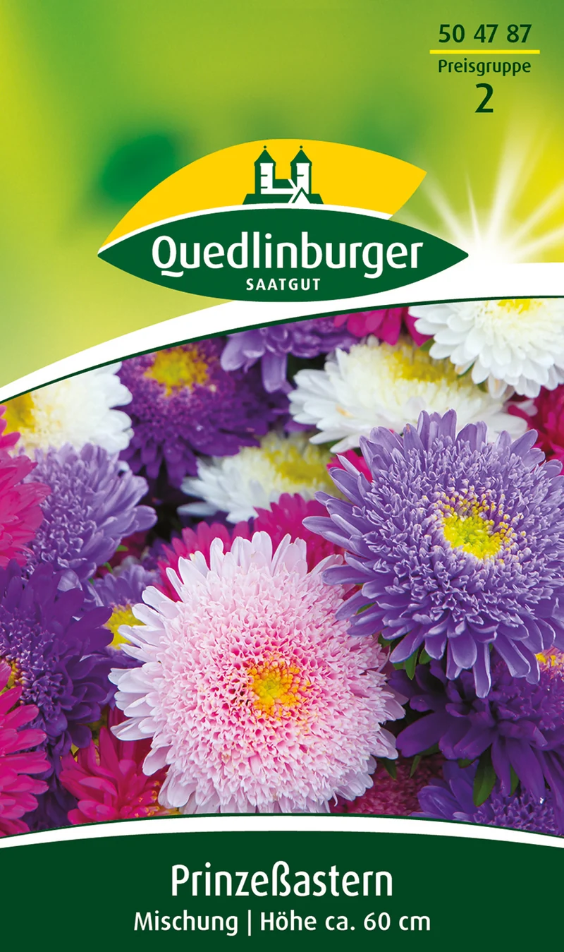Prinzeß Aster Mischung Saatgut