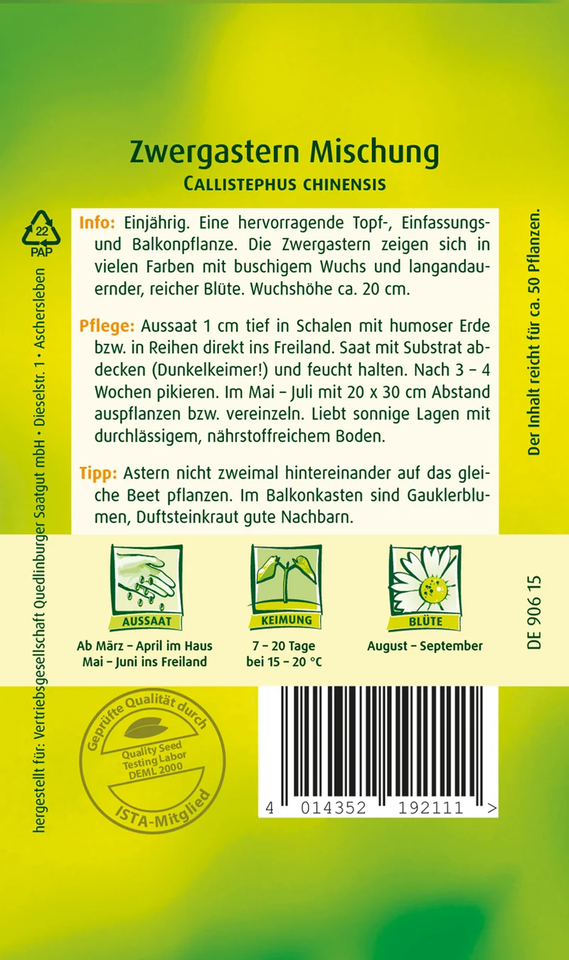Zwerg Aster Mischung Saatgut