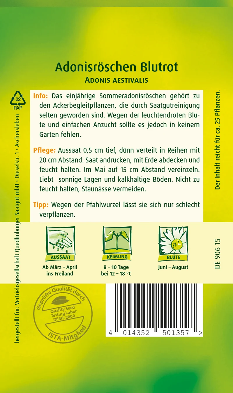 Adonisröschen Blutrot Saatgut
