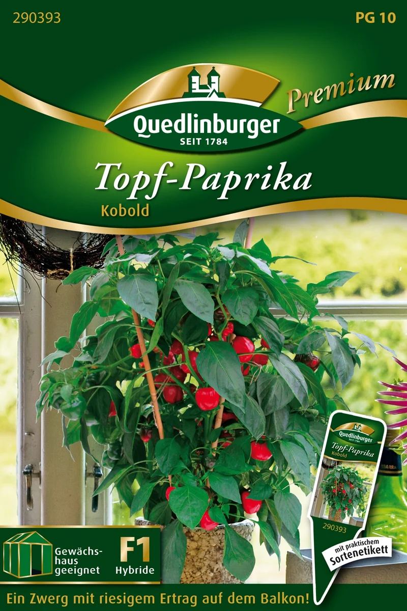 Topfpaprika rot Kobold Saatgut