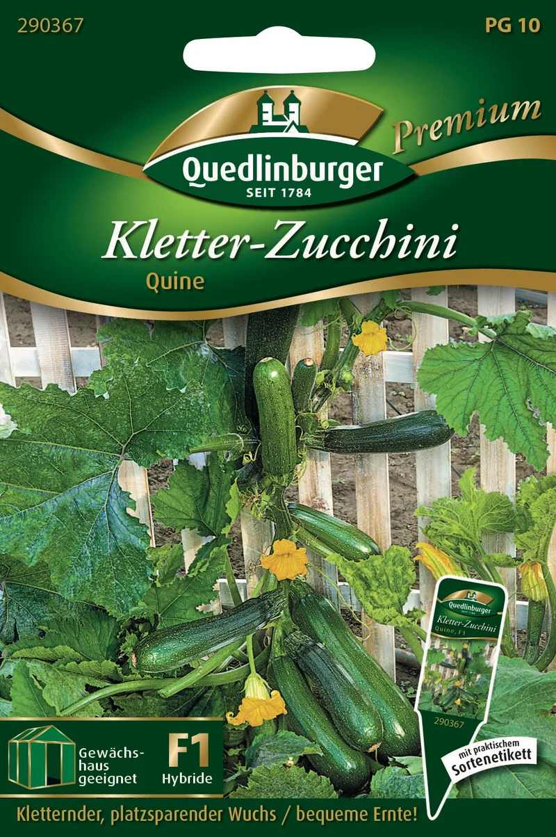 Kletterzucchini Quine Saatgut