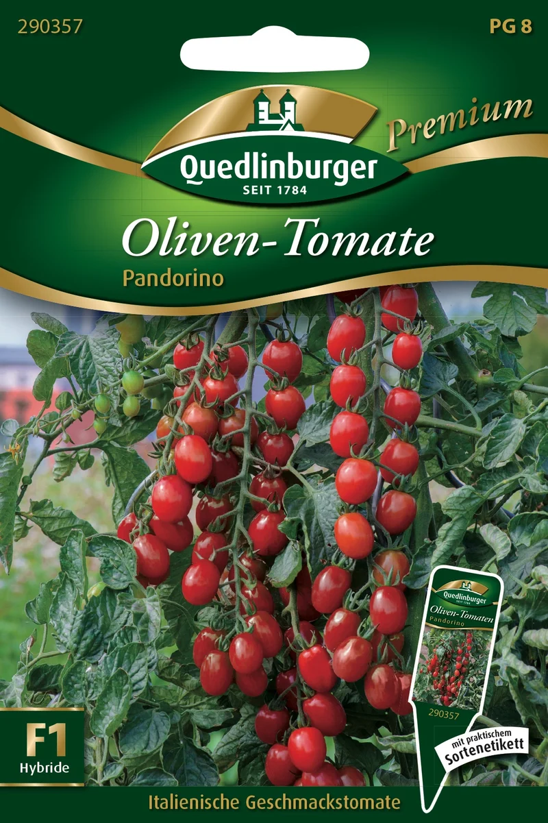Tomate Oliven Pandorino Saatgut