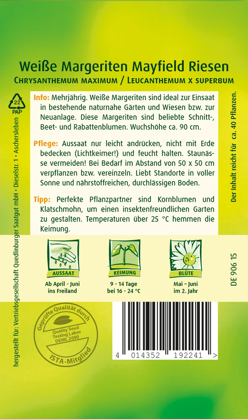 Margerite Weiße Mayfield Riesen Saatgut