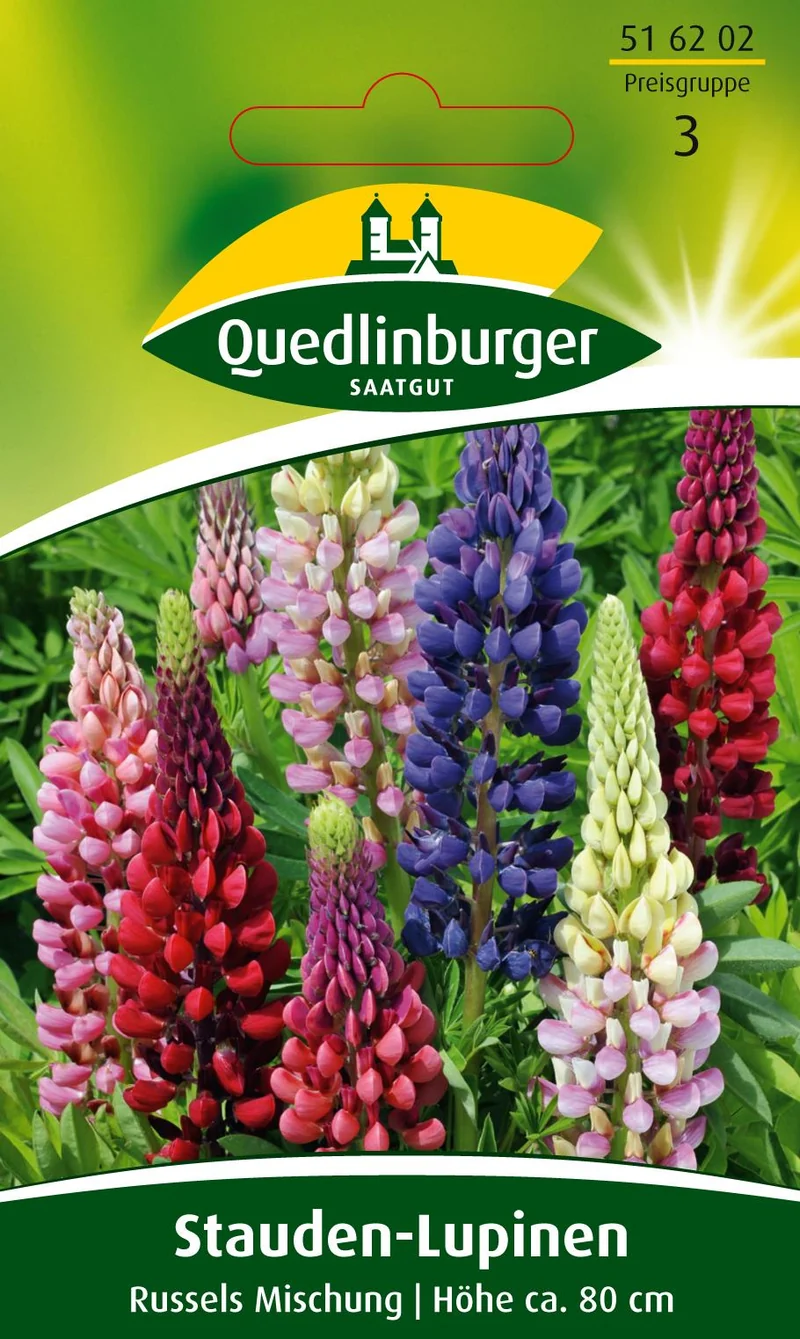 Stauden Lupine Russels Mischung Saatgut