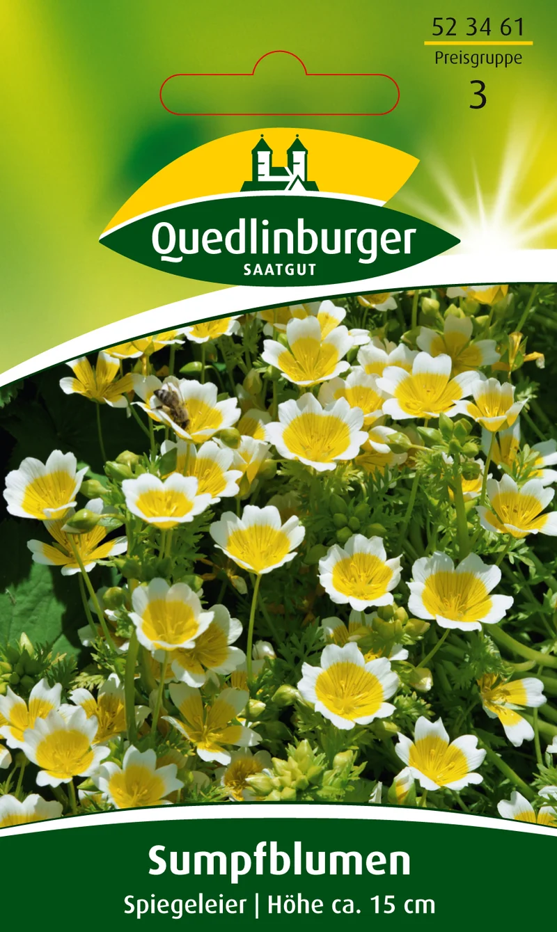 Sumpfblume Spiegeleier Saatgut