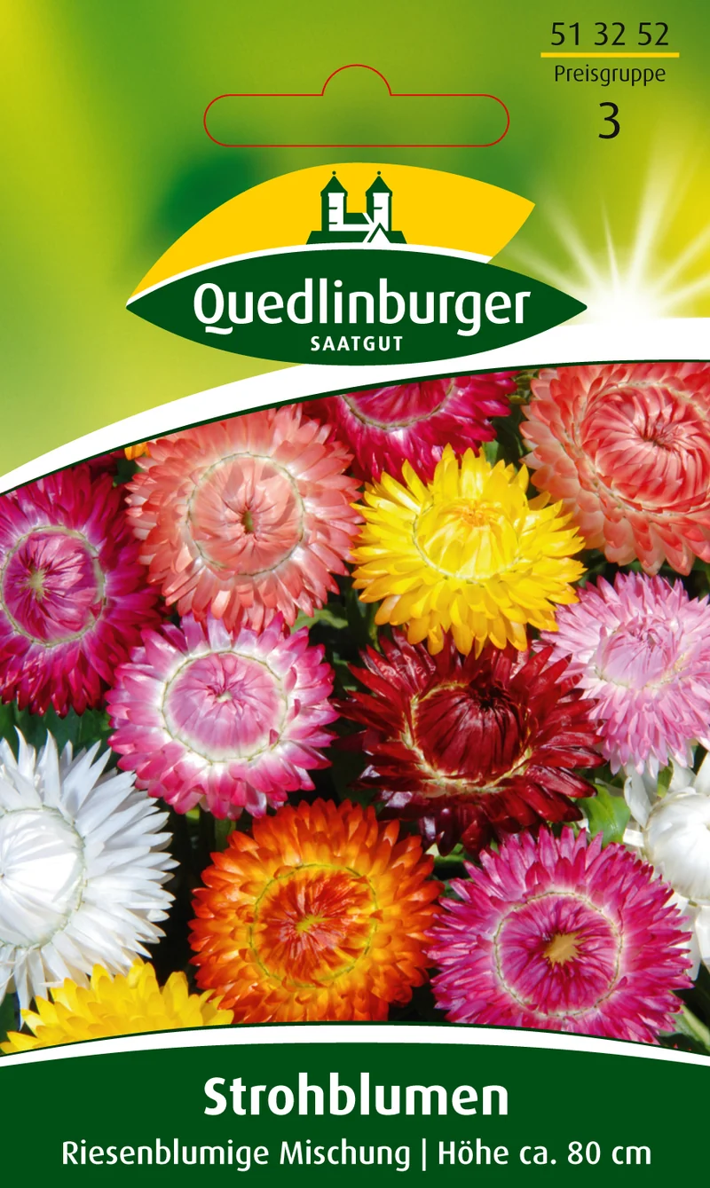 Strohblume Riesenblumige Mischung Saatgut