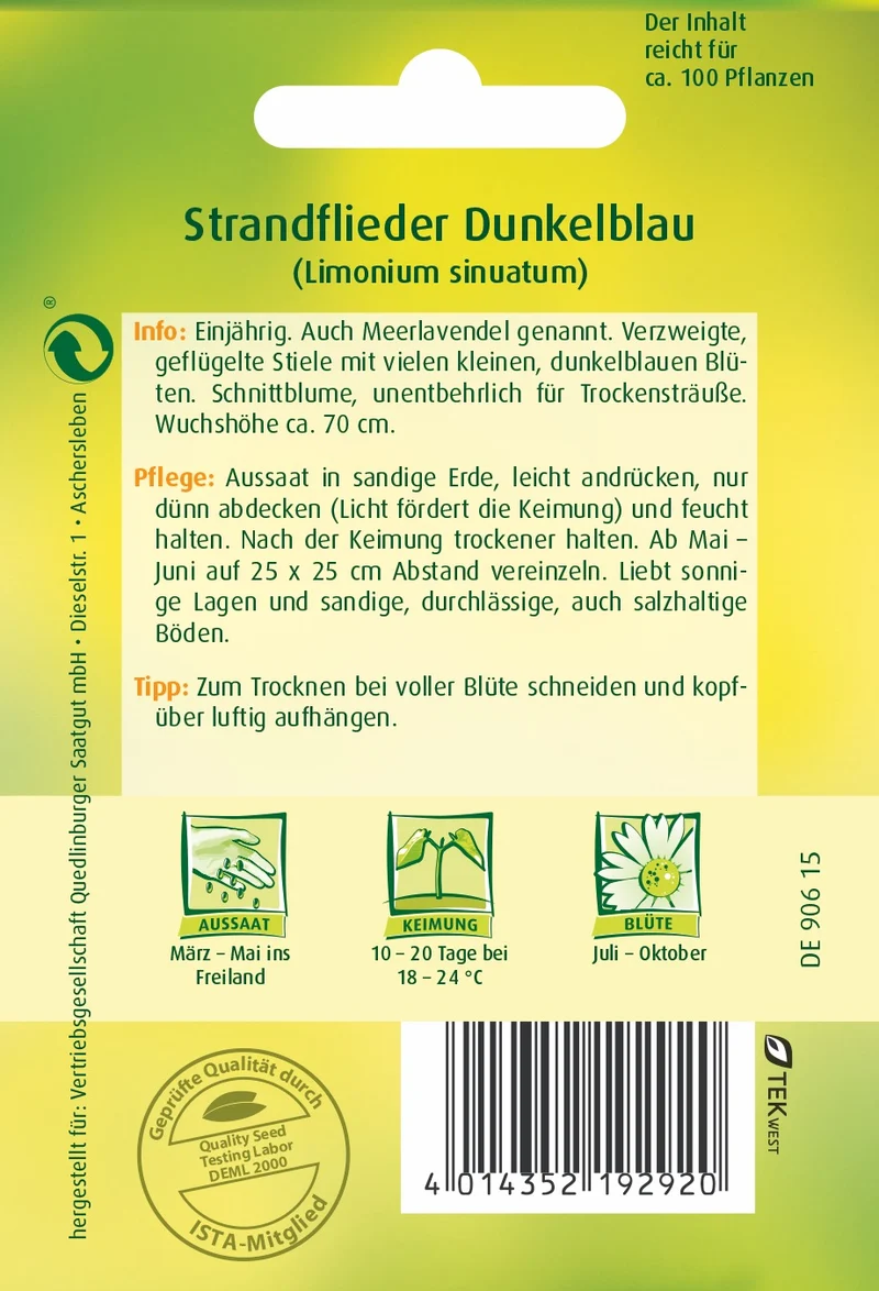 Strandflieder Dunkelblau Saatgut