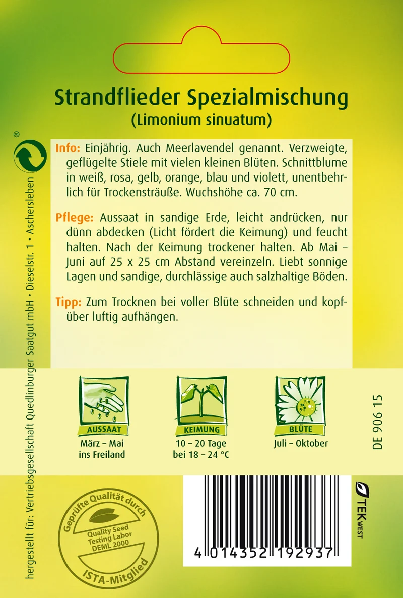Strandflieder Spezialmischung Saatgut