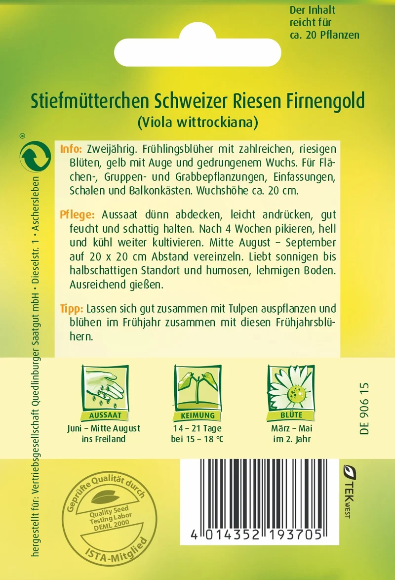 Stiefmütterchen Schweizer Riesen Firnengold Saatgut