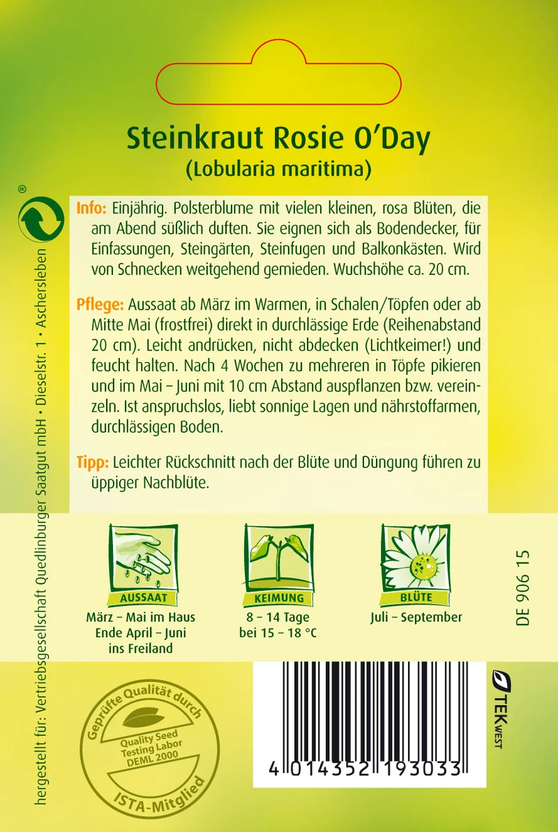 Steinkraut Rosie O Day Saatgut