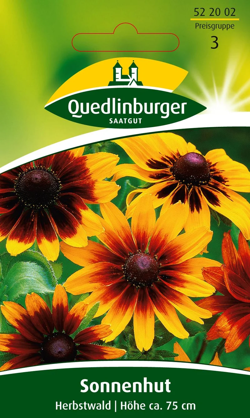 Sonnenhut Herbstwald Saatgut