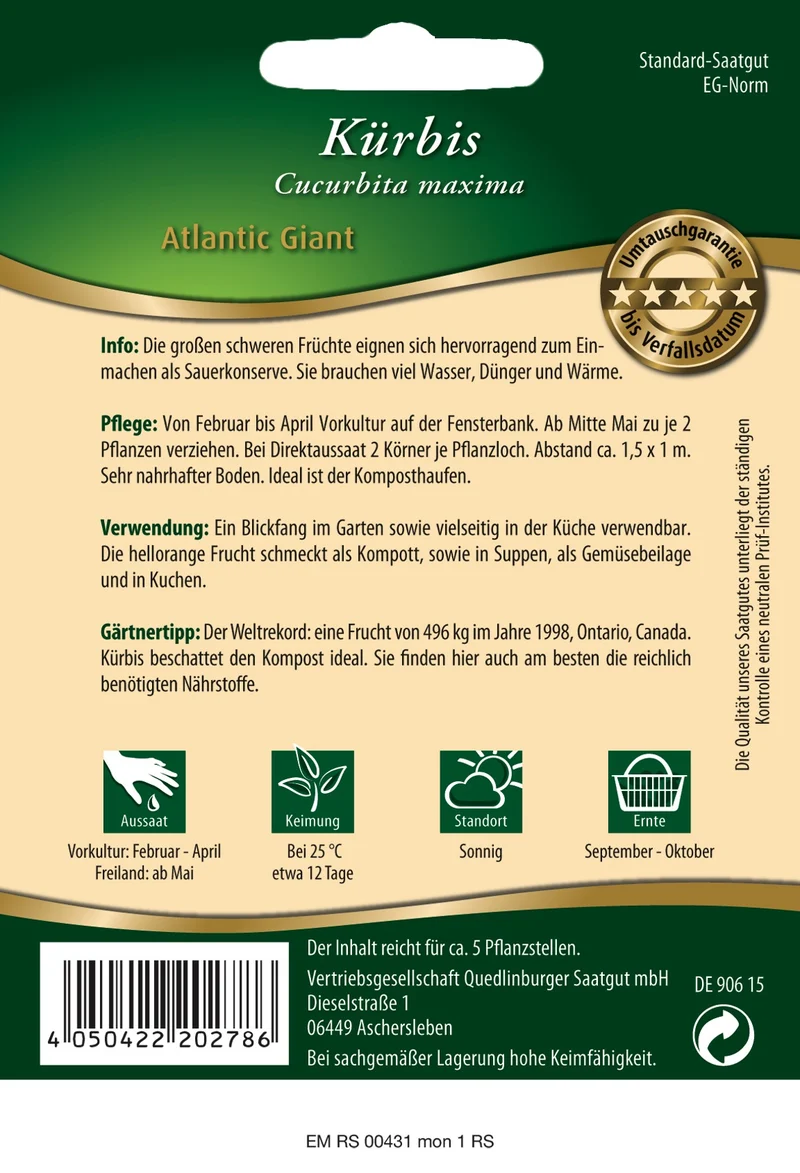 Kürbis Atlantic Giant Saatgut