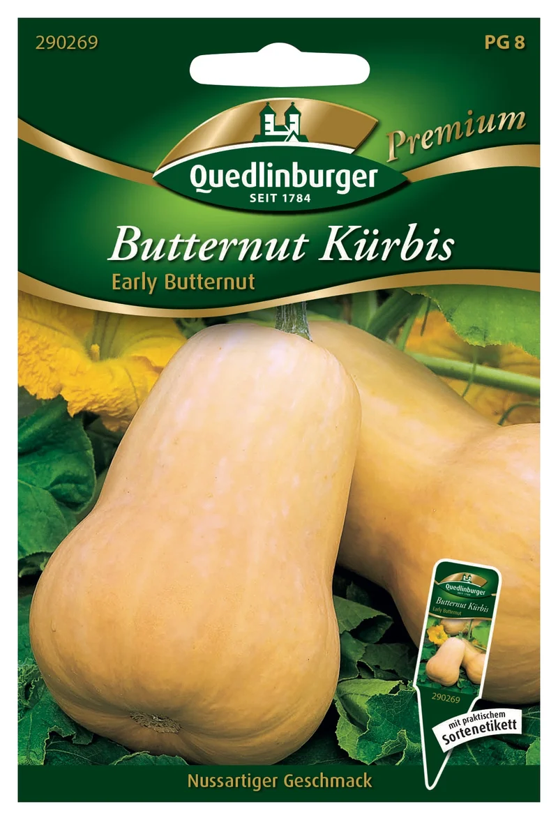 Butternut Kürbis Early Butter Saatgut