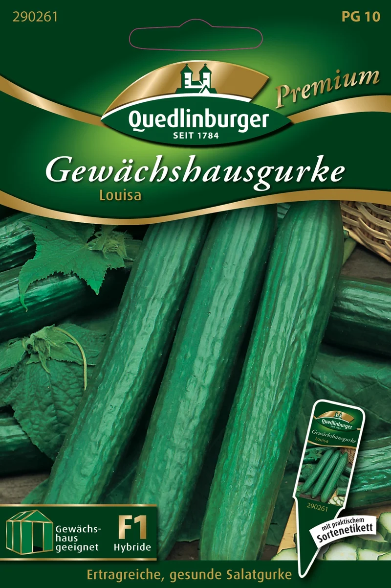 Gewächshausgurke Louisa Saatgut