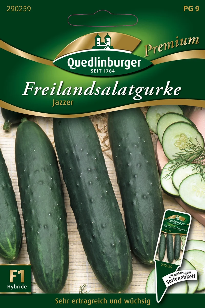 Gurken Freilandsalat Jazzer Saatgut