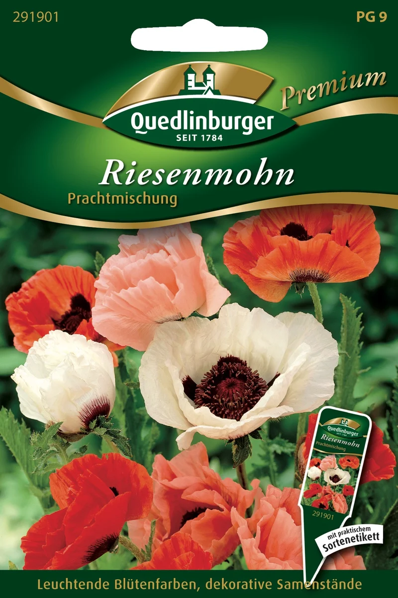 Türkischer Mohn Prachtmischung Saatgut