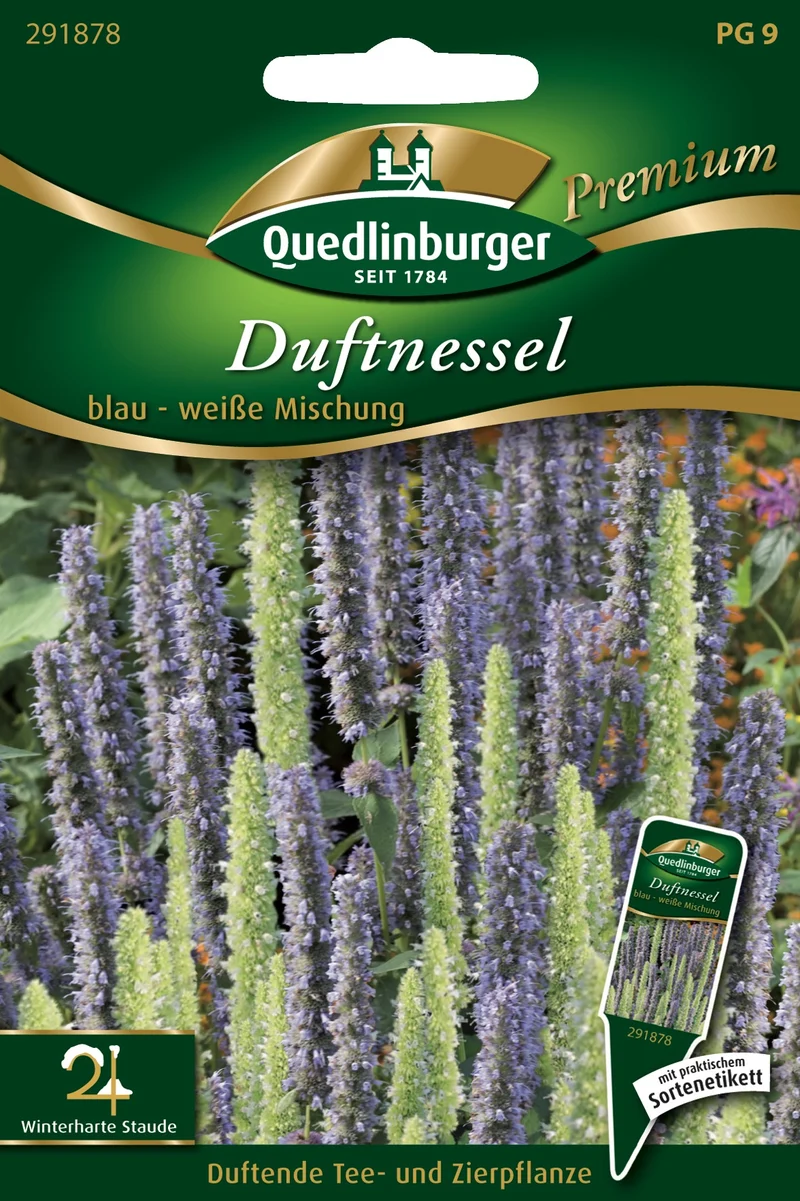 Duftnessel blau weiße Mischung Saatgut