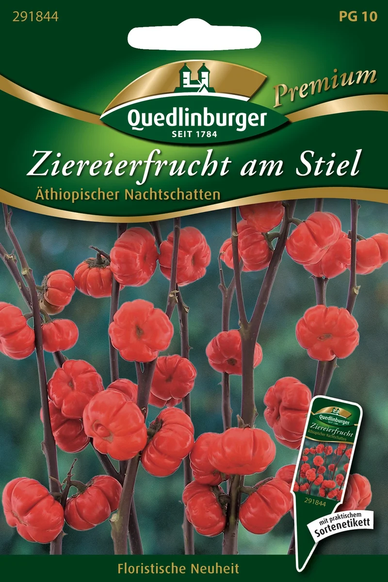 Ziereierfrucht am Stiel Saatgut