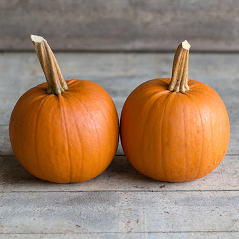 Halloween-Kürbis - Pik-A-Pie F1