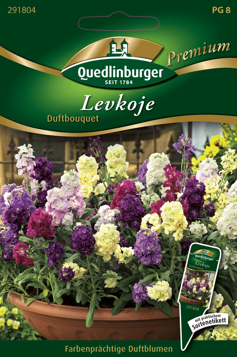 Levkojen Duftbouquet Saatgut