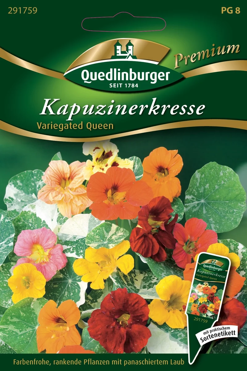 Kapuzinerkresse variegated Que Saatgut
