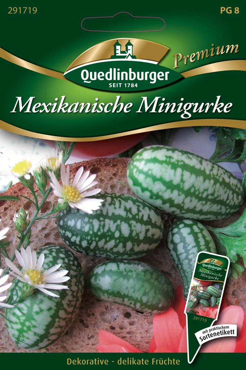 Minigurke Mexikanische Saatgut