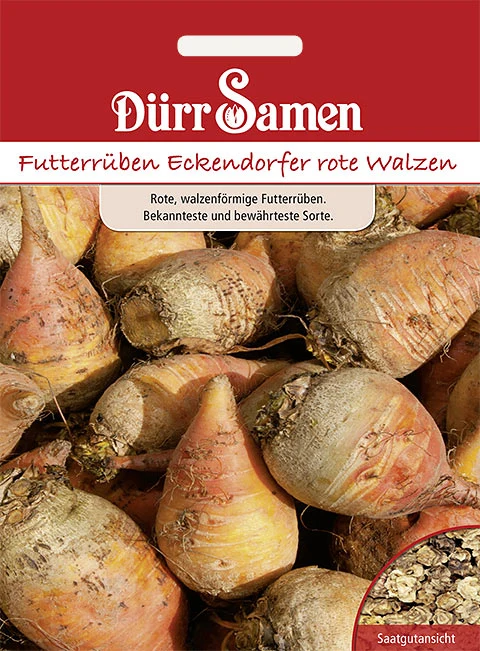 Futterrüben Eckendorfer rote Walzen Saatgut