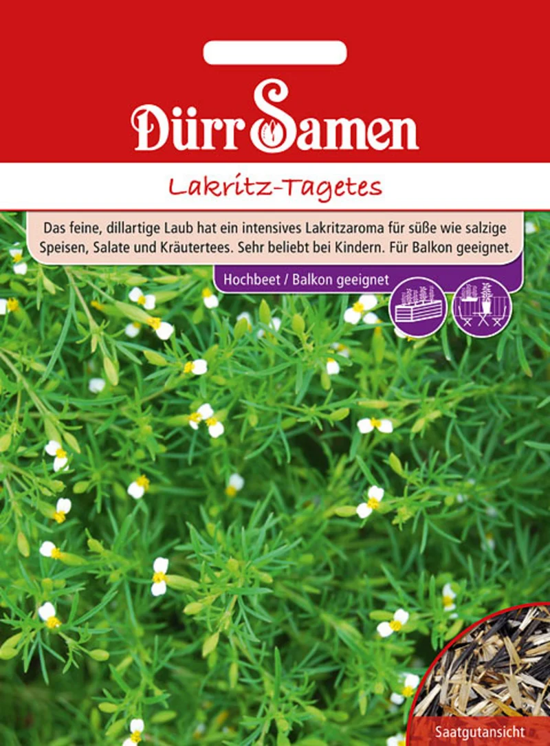 Lakritz Tagetes Saatgut
