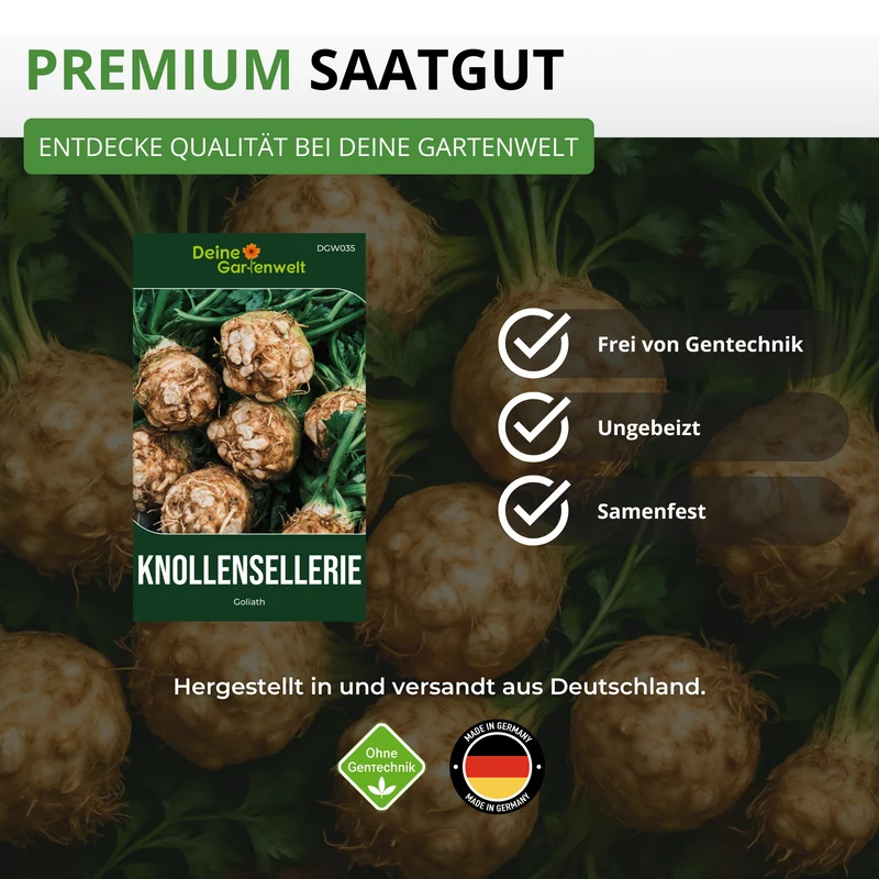 Knollensellerie Goliath Saatgut