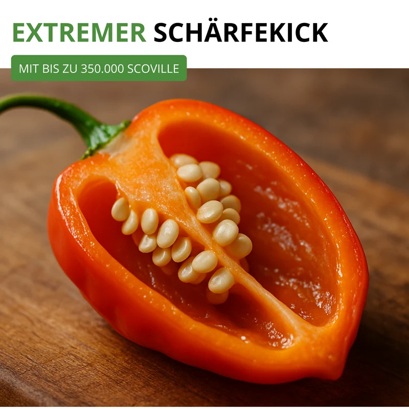 Chilli Habanero Mix Saatgut
