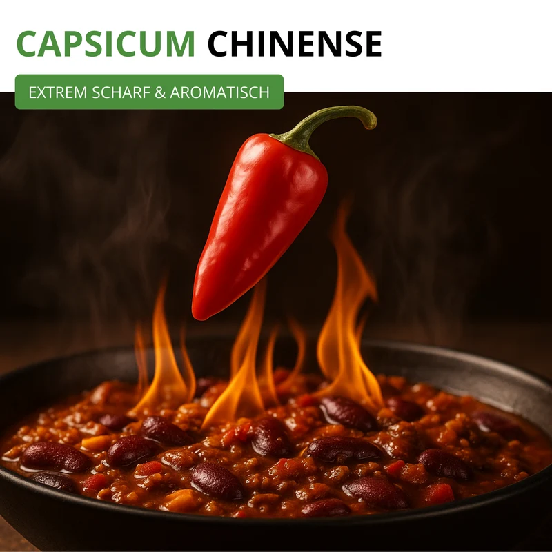 Chilli Habanero Mix Saatgut