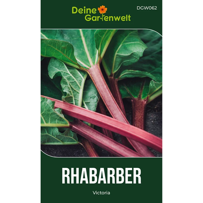 Rhabarber rot Saatgut