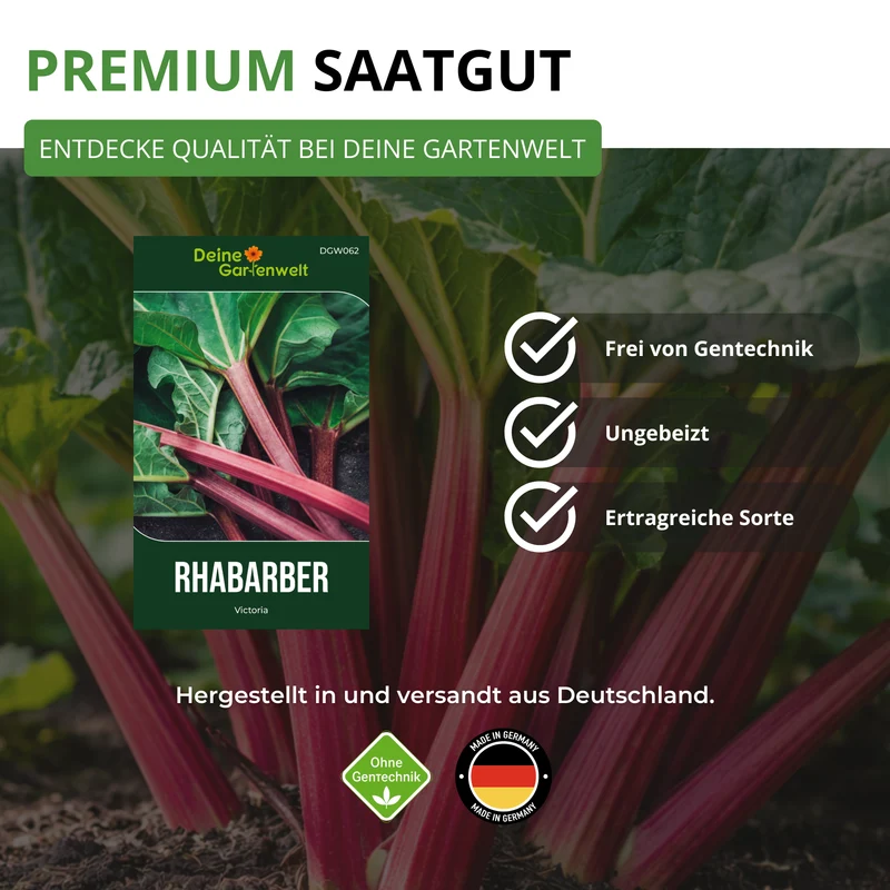 Rhabarber rot Saatgut