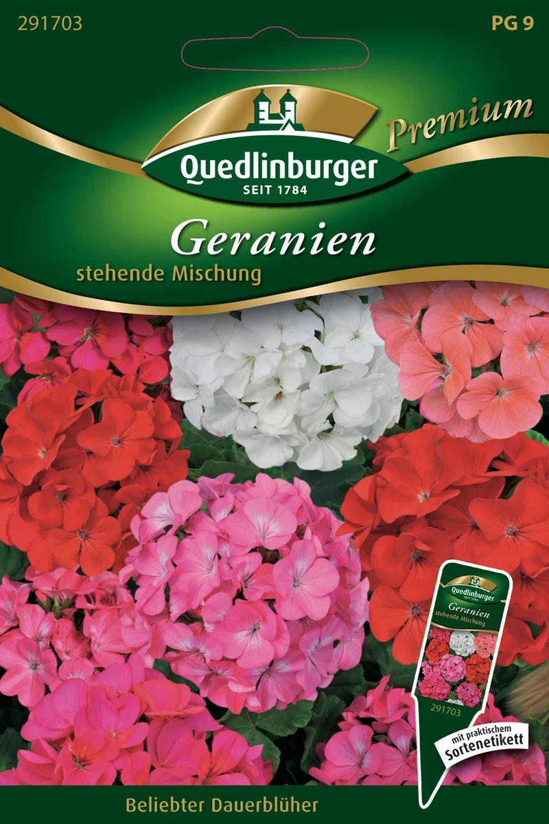 Geranien stehende Mischung Saatgut