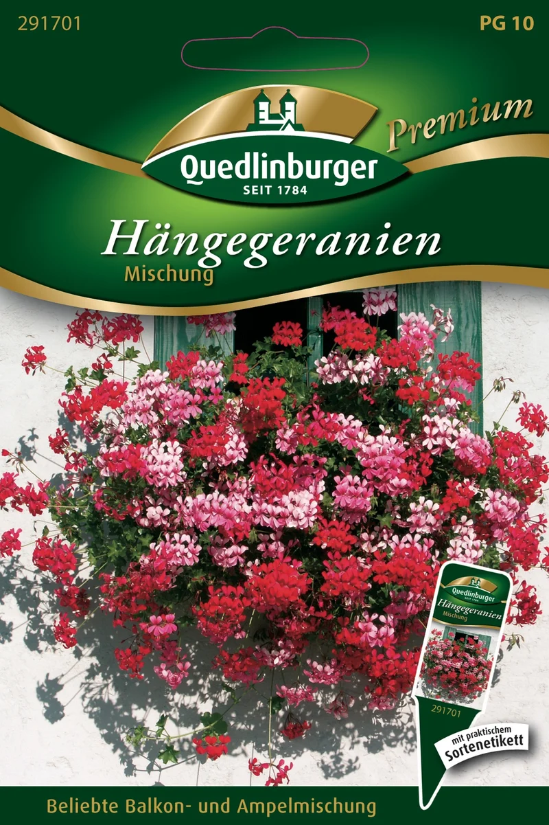 Hänge Geranien Mischung Saatgut