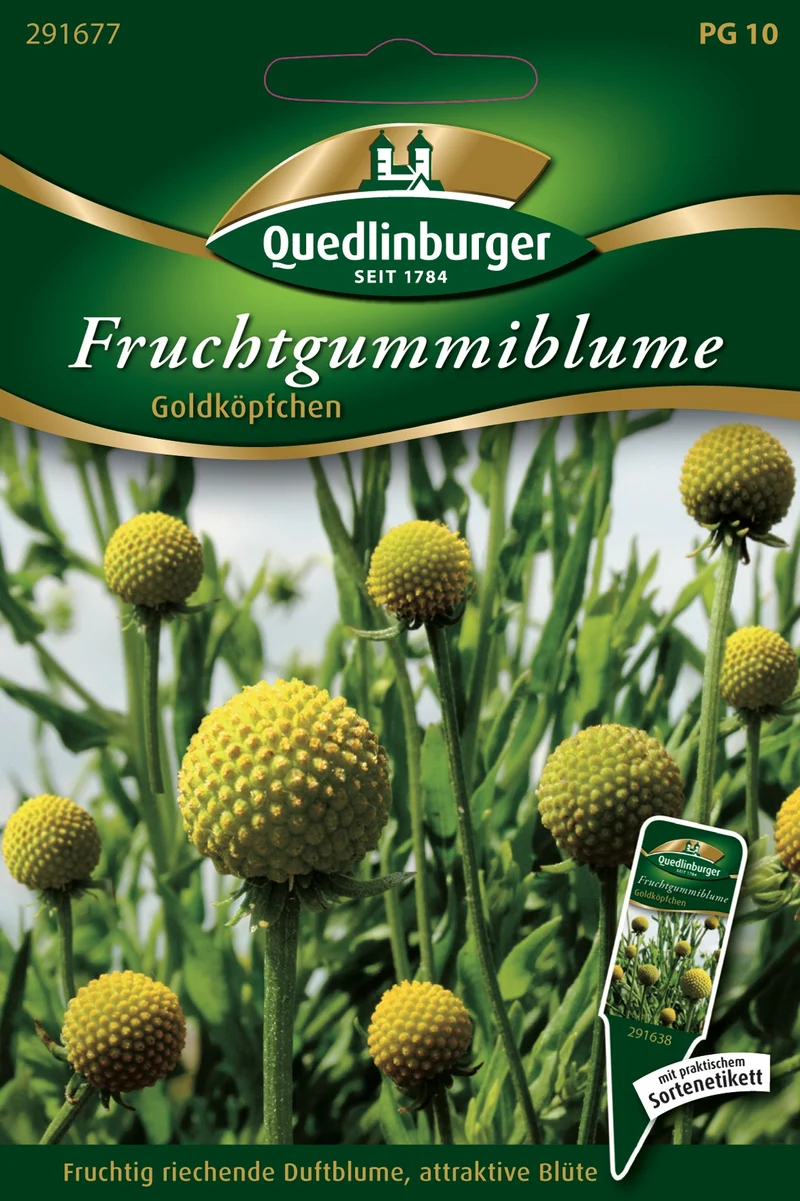 Fruchtgummiblume Saatgut