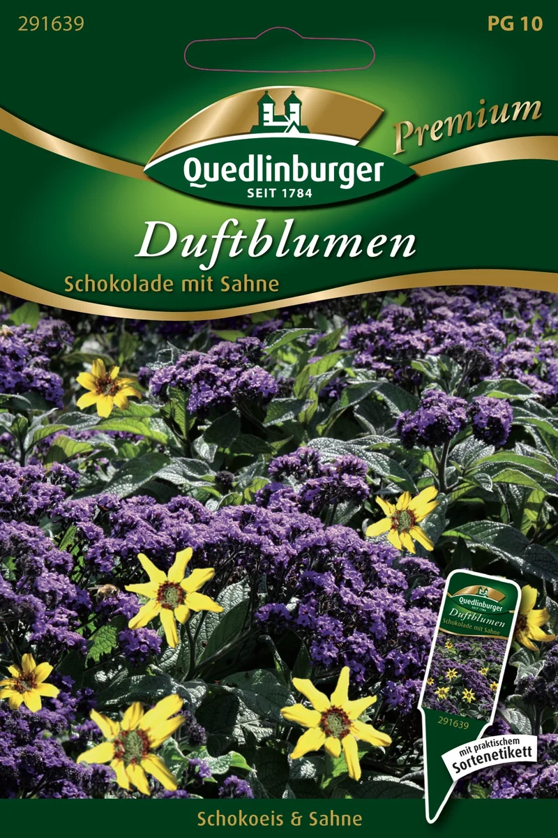 Duftblumen Schokolade mit Sahne Saatgut