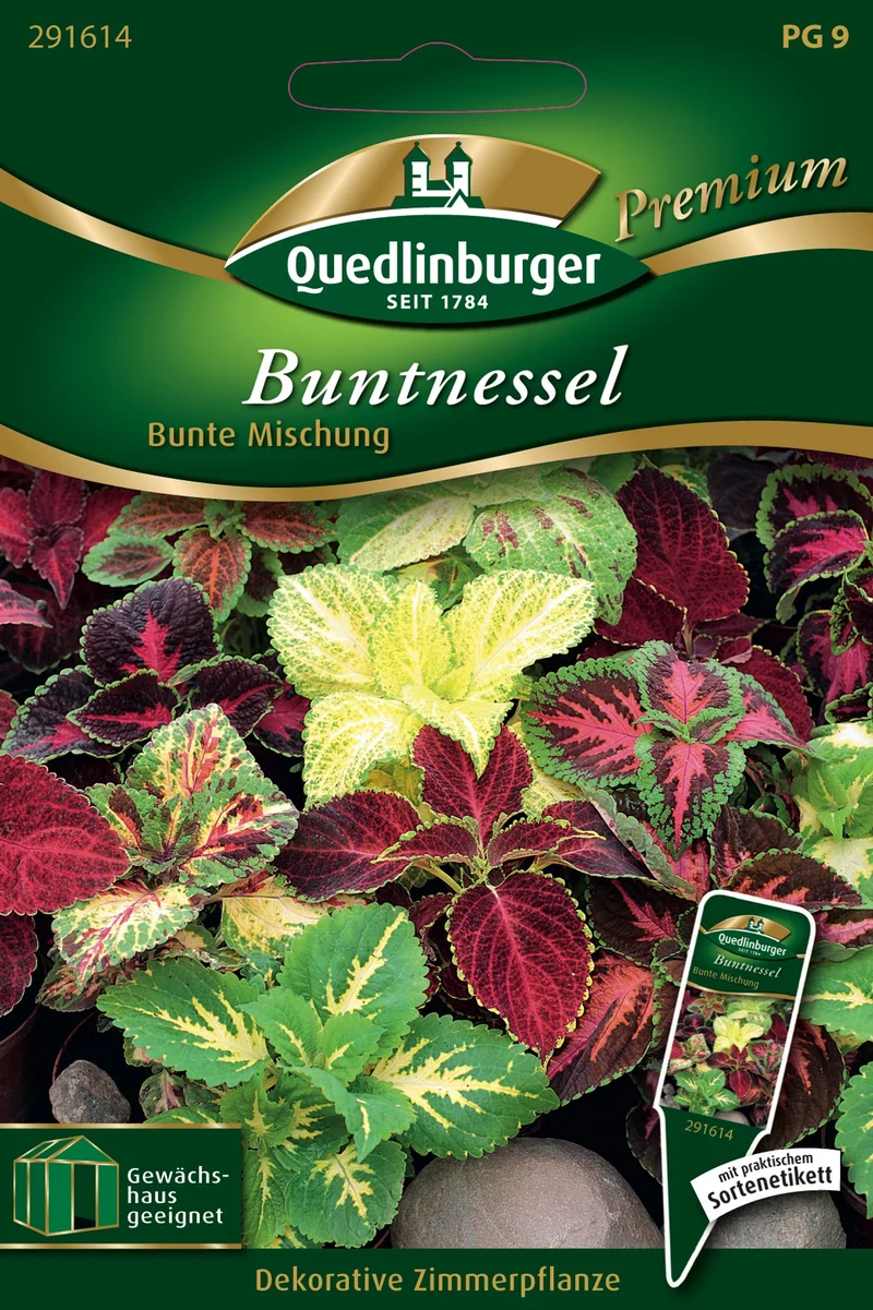 Buntnessel Bunte Mischung Saatgut