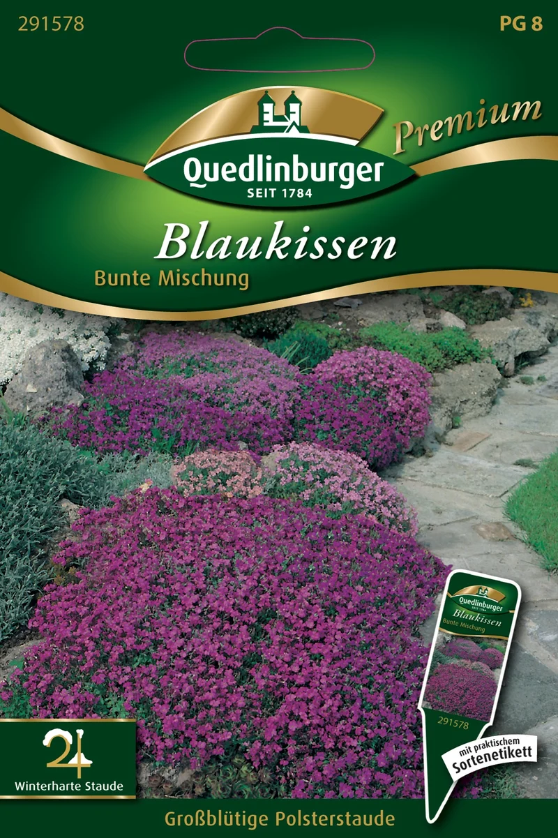 Blaukissen Bunte Mischung Saatgut