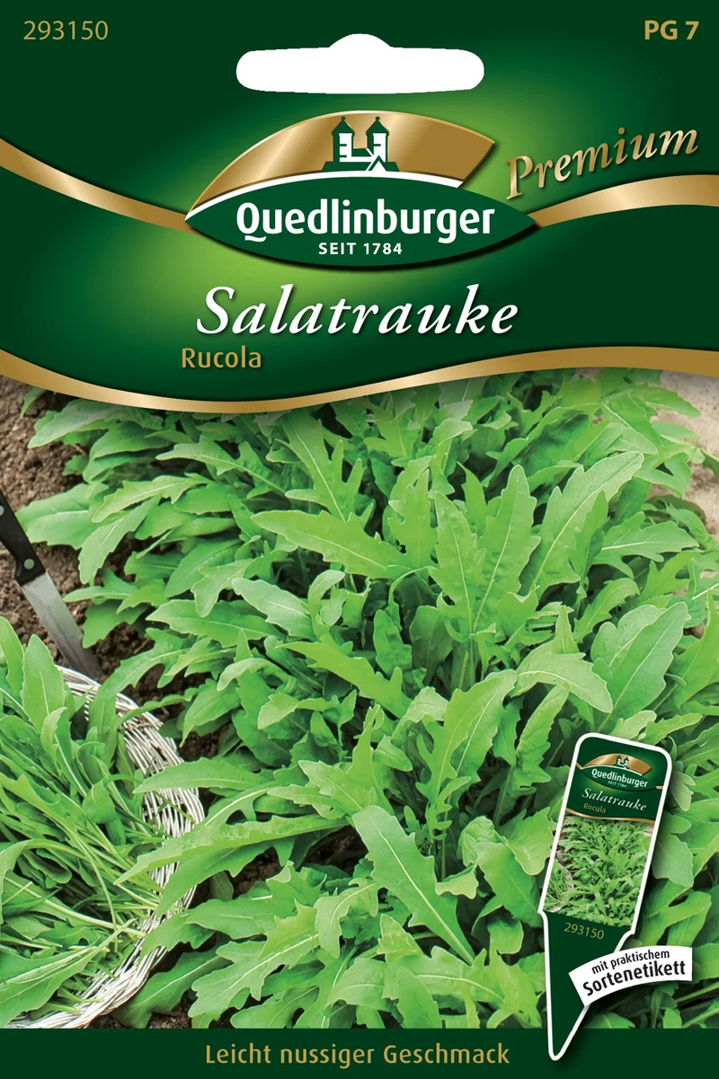 Rauke Salat Saatgut