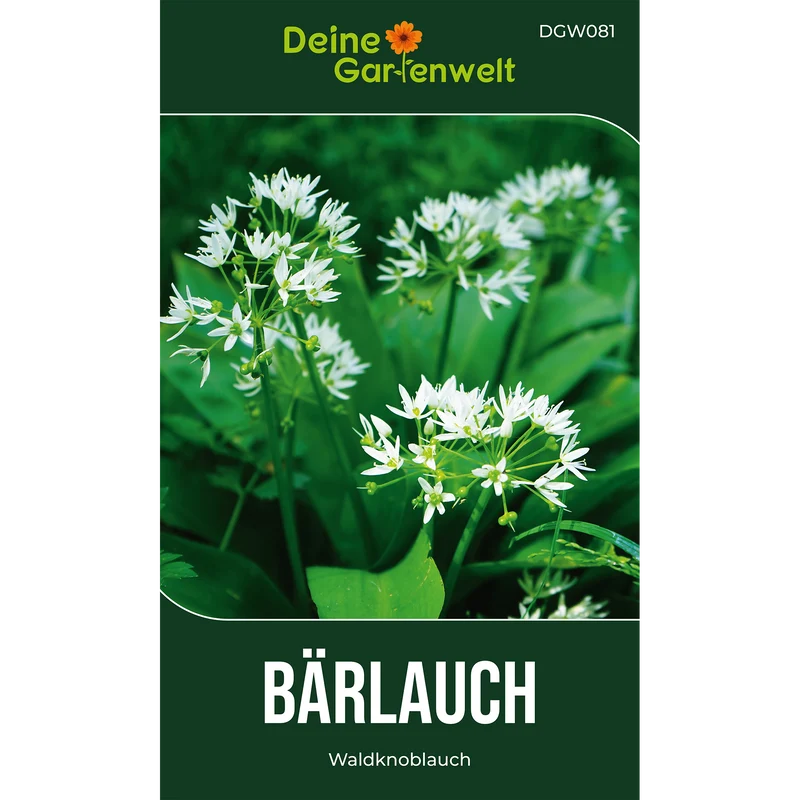 Bärlauch Saatgut