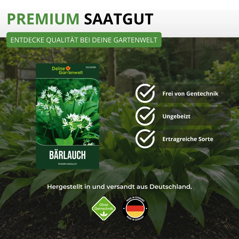 Bärlauch Saatgut