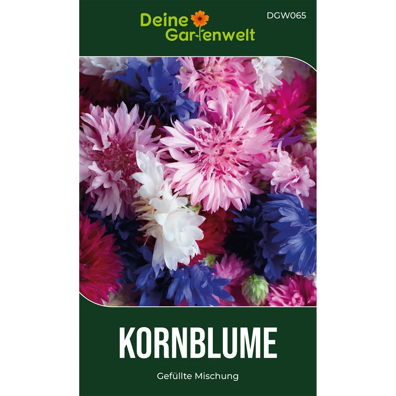 Kornblume Gefüllte Mischung Saatgut