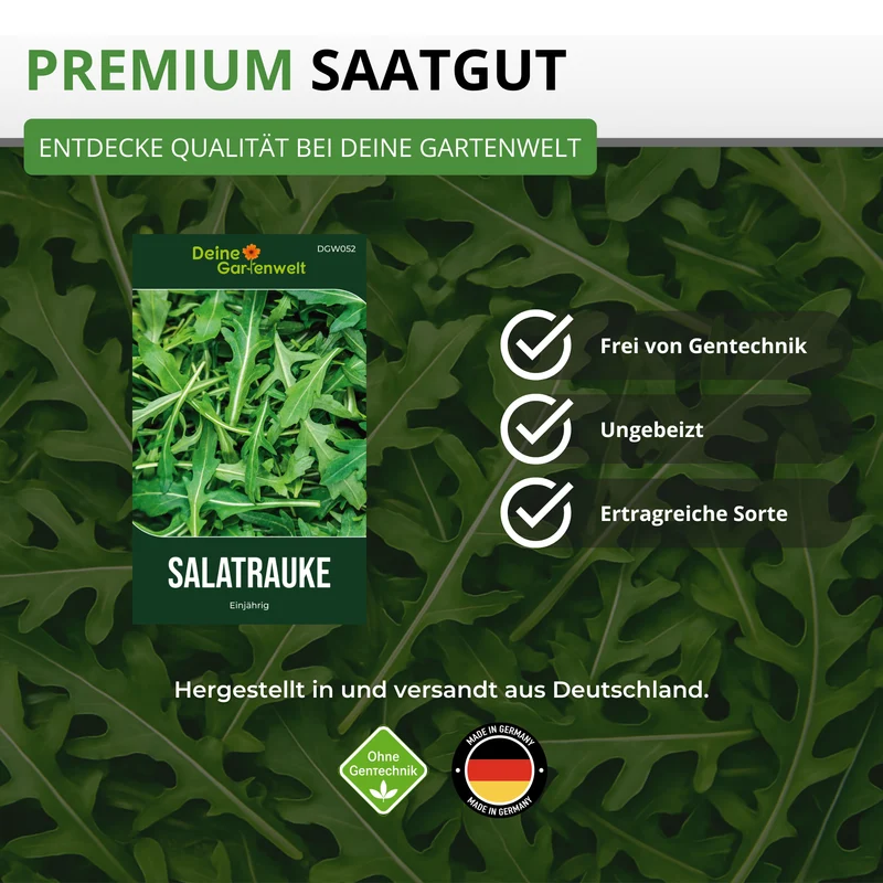 Salatrauke Saatgut