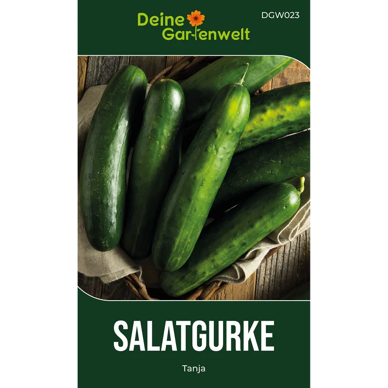 Salatgurke Tanja Saatgut