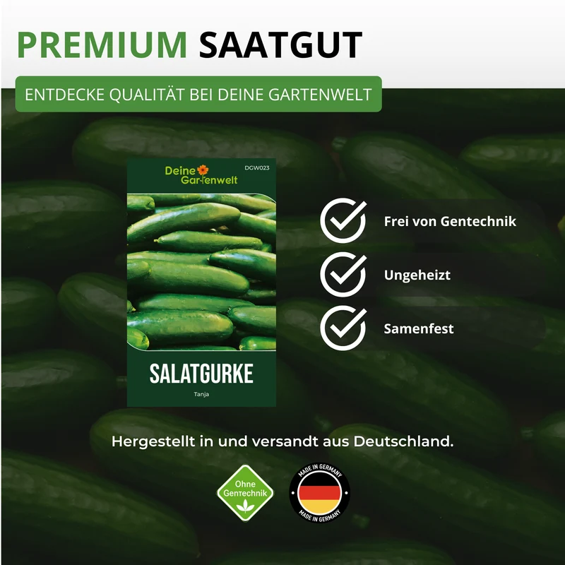 Salatgurke Tanja Saatgut